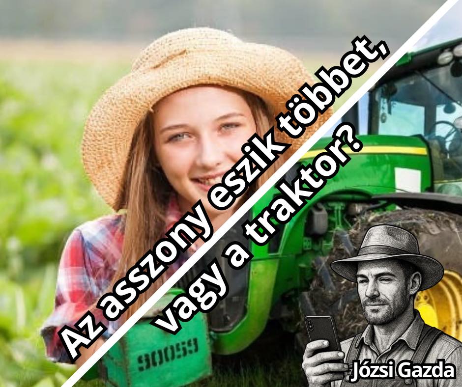 Józsi Gazda Kép 1